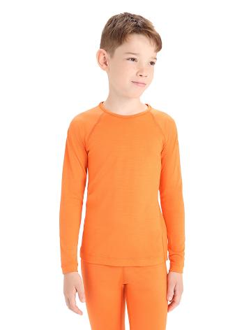 Dětské Long Sleeve Icebreaker Merino 200 Oasis Crewe Thermal Top Oranžové | CZ 1005NWYB